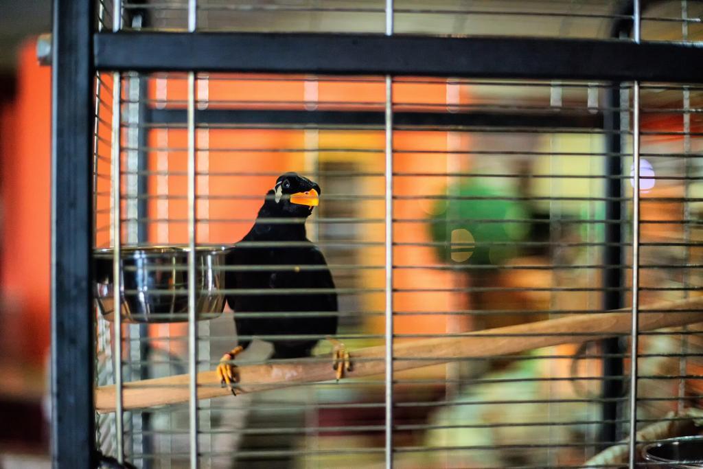 Hotel U Grubego Wielogóra エクステリア 写真